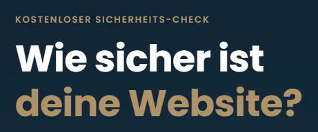 führt zum kostenlosen Website Security Check